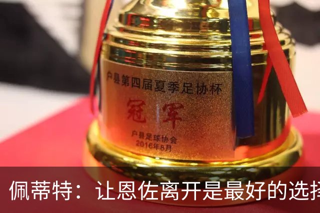 佩蒂特：让恩佐离开是最好的选择，我觉得他根本不在乎切尔西