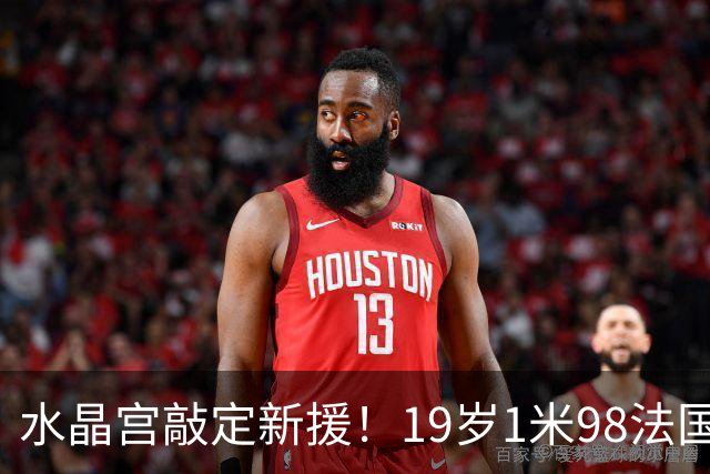 水晶宫敲定新援！19岁1米98法国OD中卫勒格恩同意加盟，未来防线再添潜力股